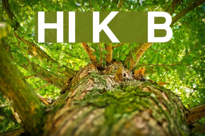 HI Keawe Bold Font examples
