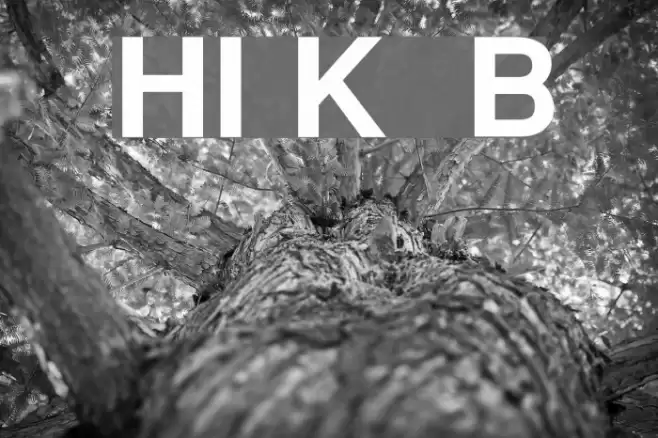 HI Keawe Bold Font examples