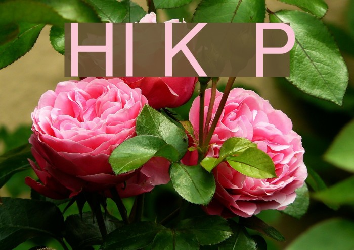 HI Keawe Plain Font examples