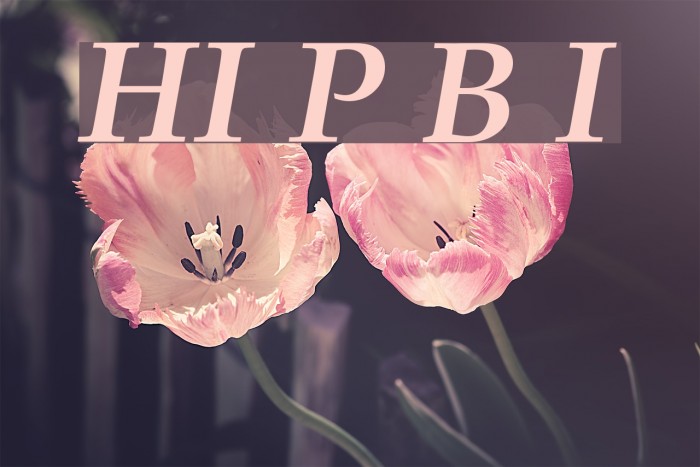 HI Piilani Bold Italic Font examples