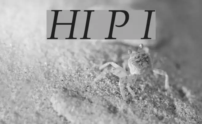 HI Piilani Italic Font examples