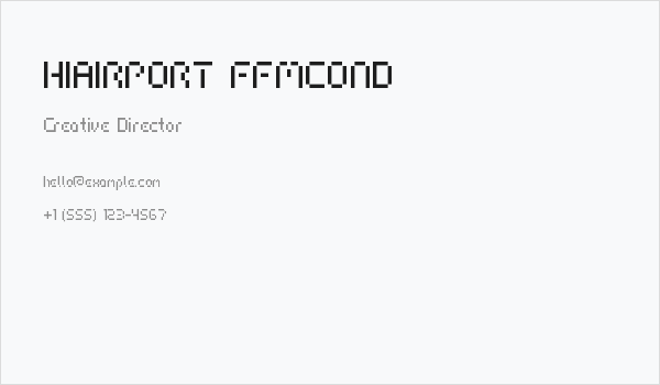 HIAIRPORT FFMCOND Business Card