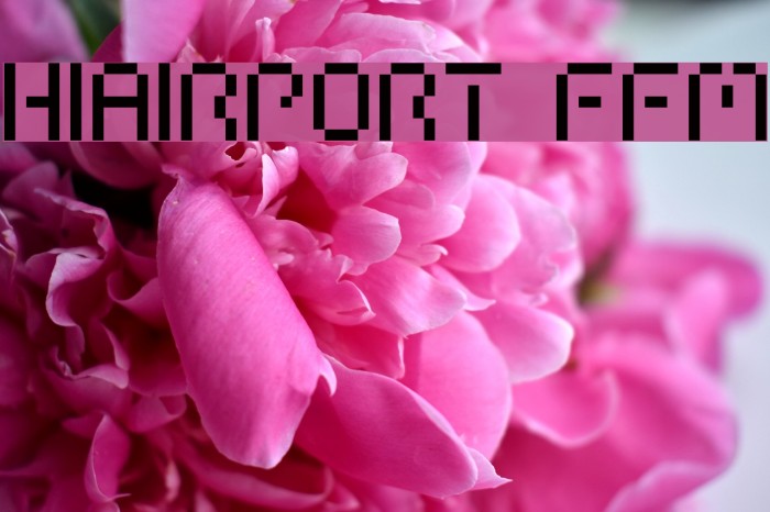 HIAIRPORT FFM Font examples