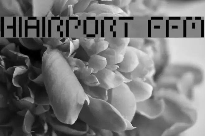 HIAIRPORT FFM Шрифта examples