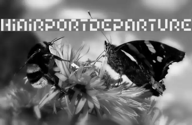 HIAIRPORTDEPARTURE Font examples