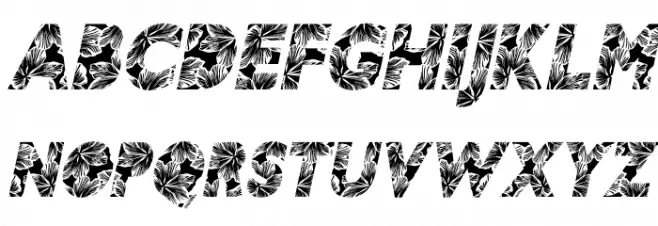 HIBISCUS ITALIC PERSONAL USE Bold Italic Polices MAJUSCULES