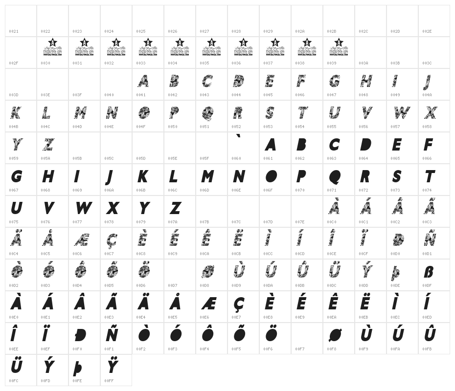 HIBISCUS ITALIC PERSONAL USE Bold Italic Character Map