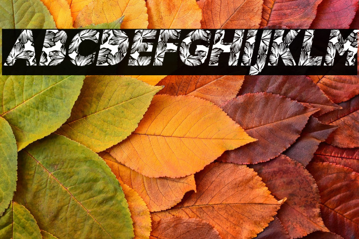 HIBISCUS ITALIC PERSONAL USE Bold Italic Example 1