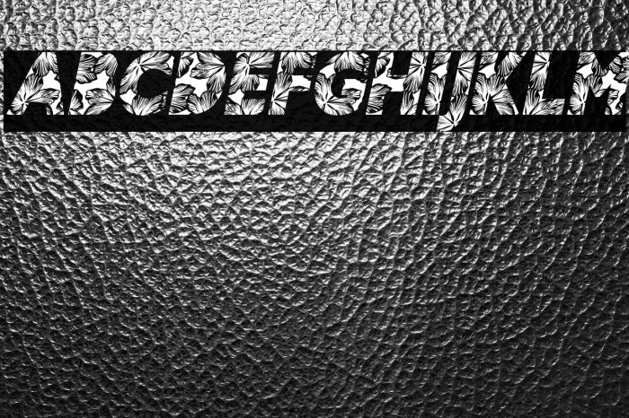 HIBISCUS ITALIC PERSONAL USE Bold Italic Example 2