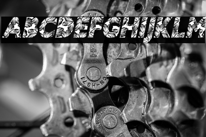 HIBISCUS ITALIC PERSONAL USE Bold Italic Example 3