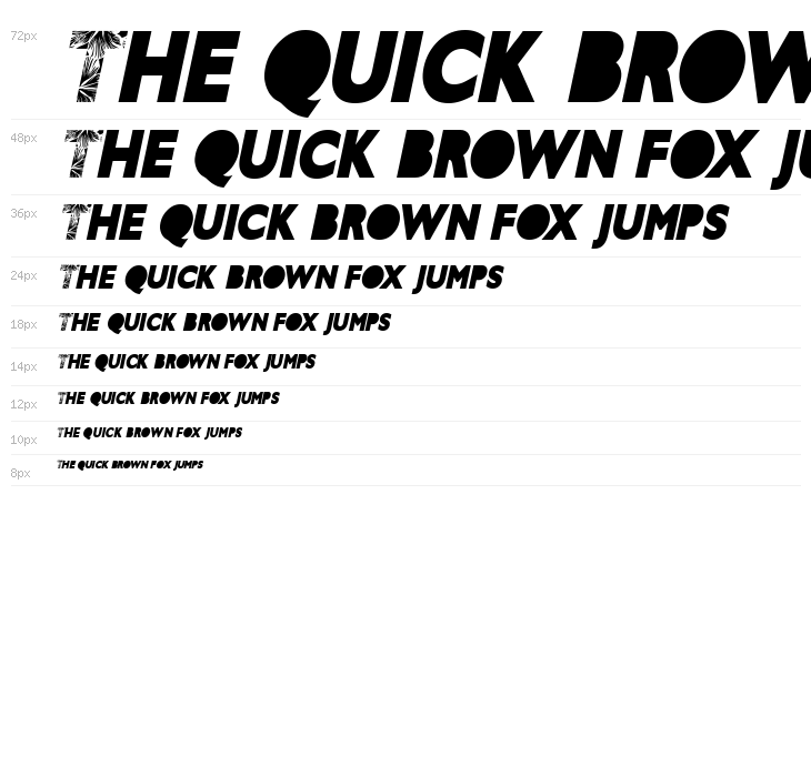 HIBISCUS ITALIC PERSONAL USE Bold Italic Waterfall