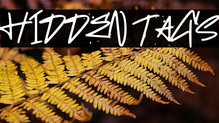 HIDDEN TAGS Example 1