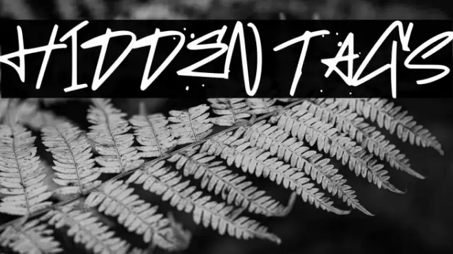 HIDDEN TAGS Fonte examples