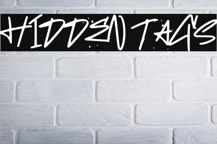 HIDDEN TAGS Example 2