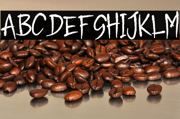 HIGHLANDER Example 1