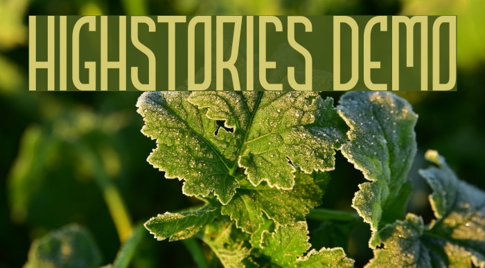 HIGHSTORIES Demo Example 1