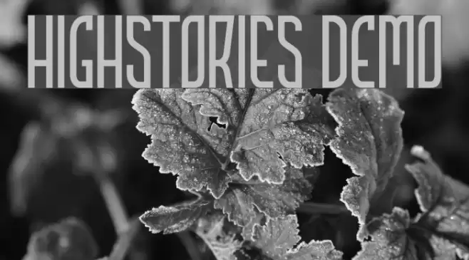 HIGHSTORIES Demo Font examples