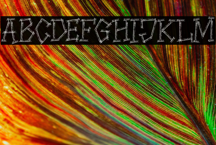 HIGHWAY SHREDDED Example 1