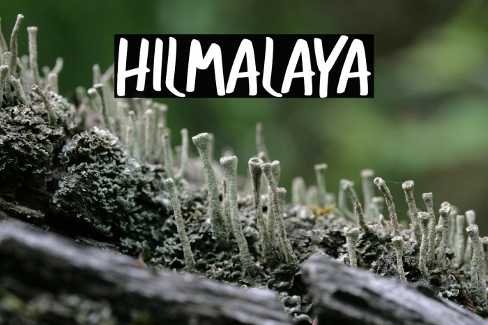HILMALAYA Example 3