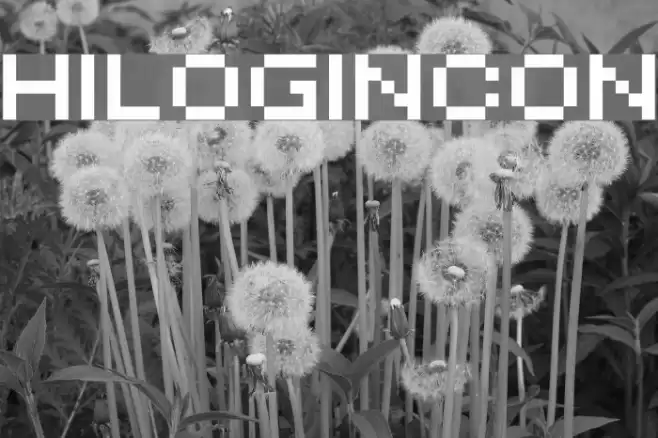 HILOGINCON Font examples