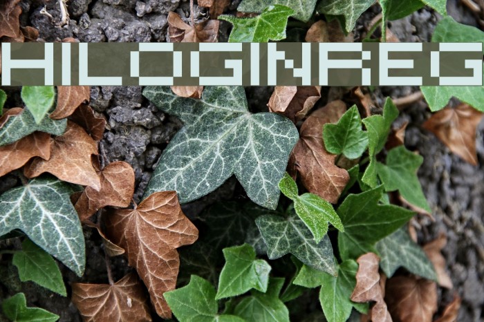 HILOGINREG Font examples