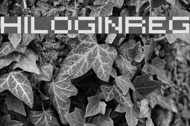 HILOGINREG フォント examples