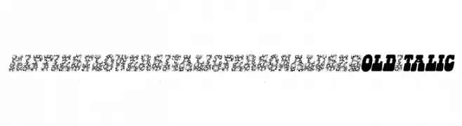 HIPPIES FLOWERS ITALIC PERSONAL USE Bold Italic  Fuentes Gratis Descargar