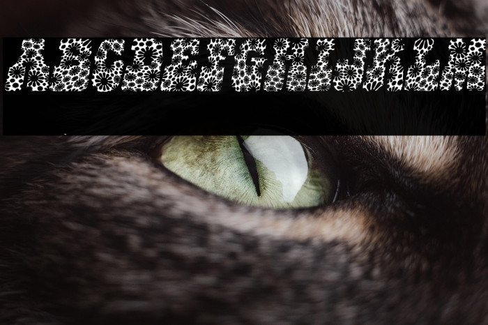 HIPPIES FLOWERS ITALIC PERSONAL USE Bold Italic Example 2