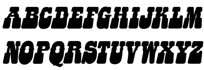 HIPPIES FLOWERS ITALIC PERSONAL USE Bold Italic Font LOWERCASE