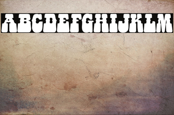 HIPSTERS ROUNDED PERSONAL USE Example 3