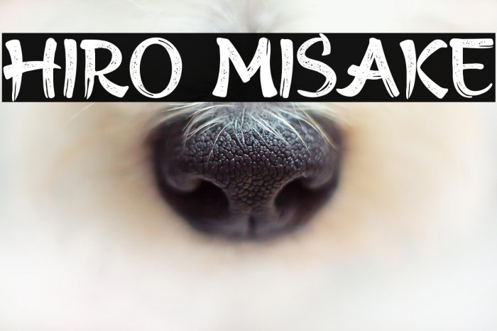 HIRO MISAKE Example 1