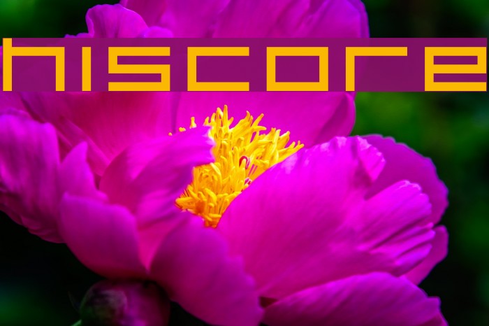 HISCORE Fonte examples