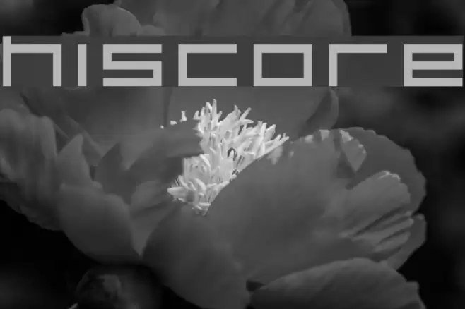 HISCORE Fonte examples