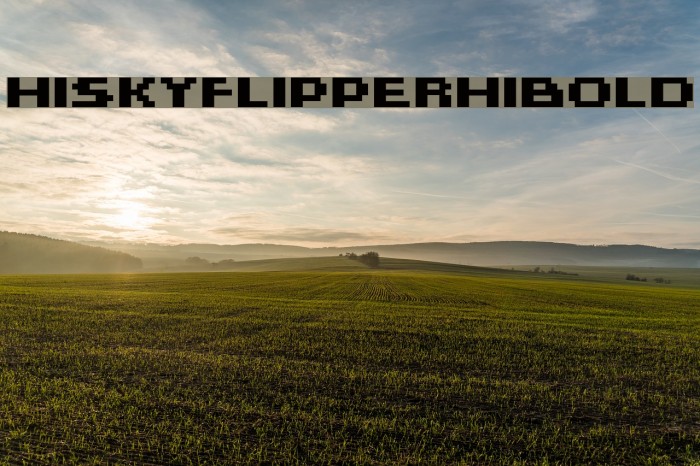 HISKYFLIPPERHIBOLD Schriftart examples