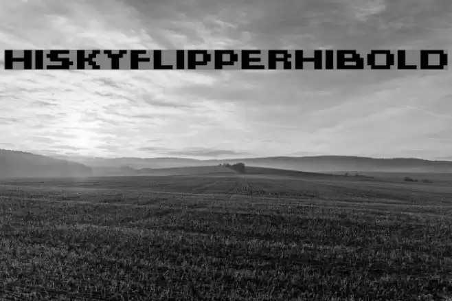 HISKYFLIPPERHIBOLD Polices examples