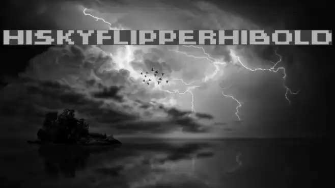 HISKYFLIPPERHIBOLD Polices examples