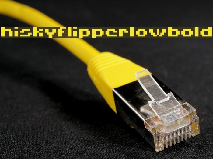 HISKYFLIPPERLOWBOLD Font examples