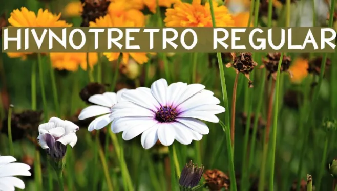 HIVNotRetro Regular Example 1