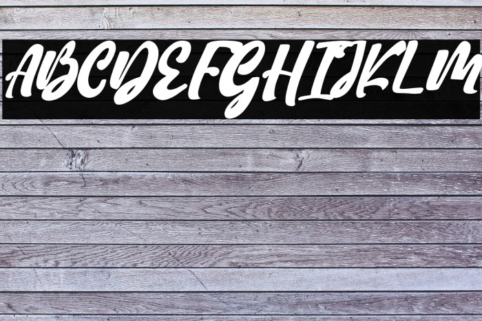 Hi Ashoka Italic Example 3