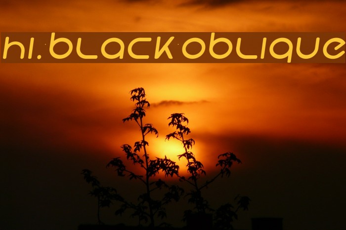 Hi. Black Oblique Font examples