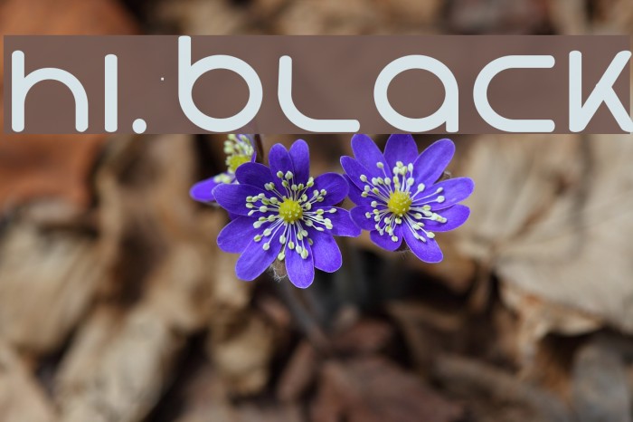 Hi. Black Font examples