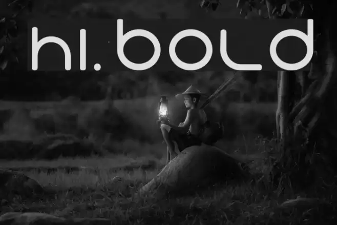 Hi. Bold Font examples