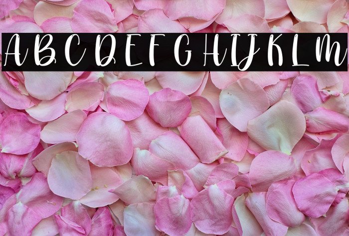 Hi Christmas - Personal Use Example 1