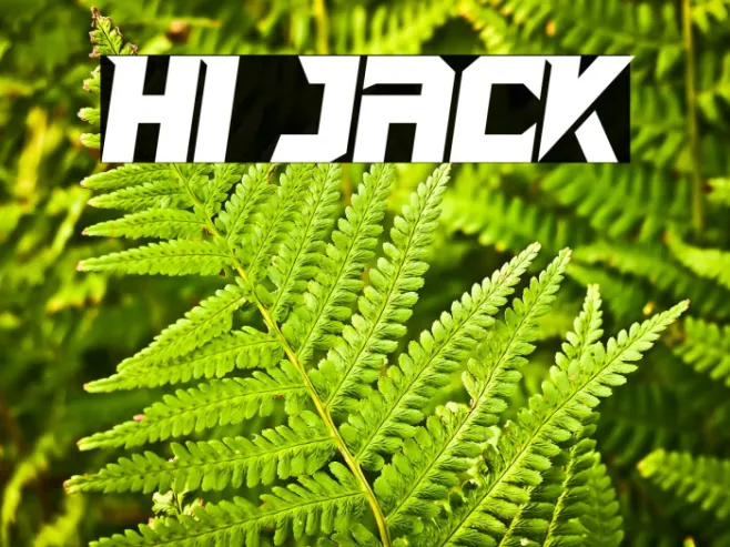 Hi Jack Example 1