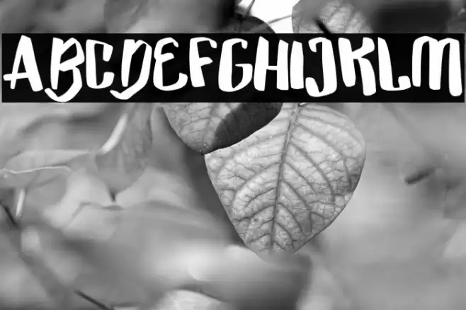 Hi Panda Font examples