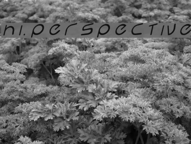 Hi. Perspective Font examples