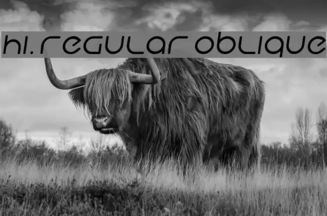 Hi. Regular Oblique Font examples