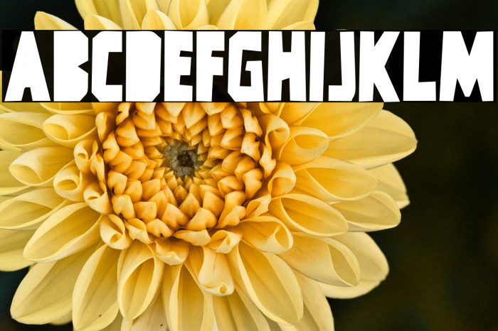 Hi TV DEMO Example 2