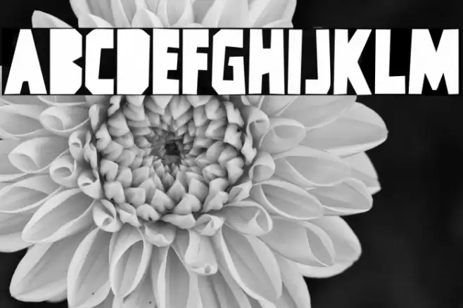 Hi TV DEMO Font examples