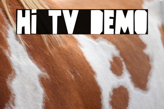 Hi TV DEMO 字体 examples